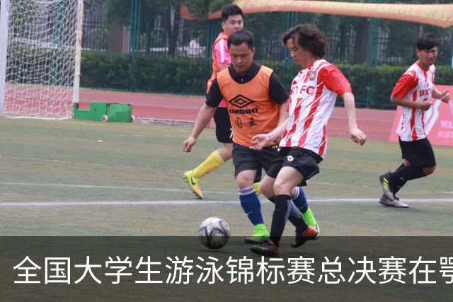 全国大学生游泳锦标赛总决赛在鄂尔多斯开赛，游泳盛宴来袭！