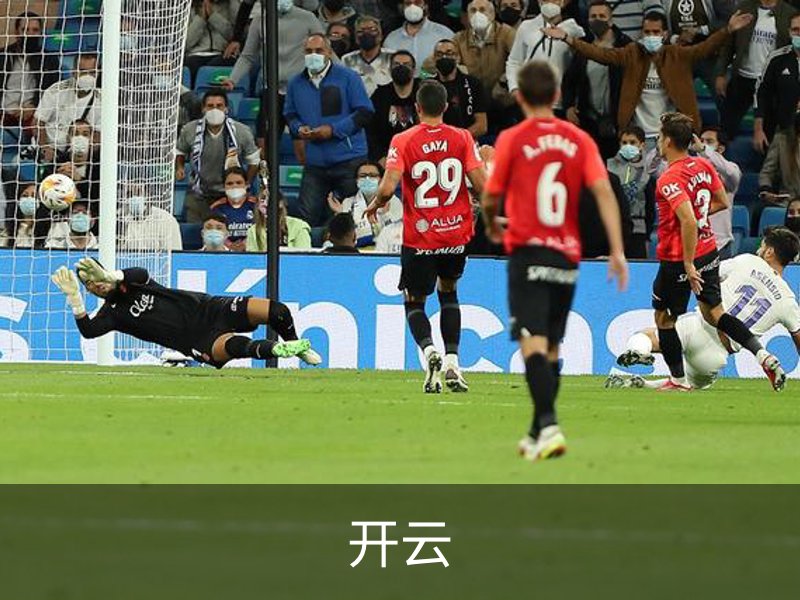 开云概况