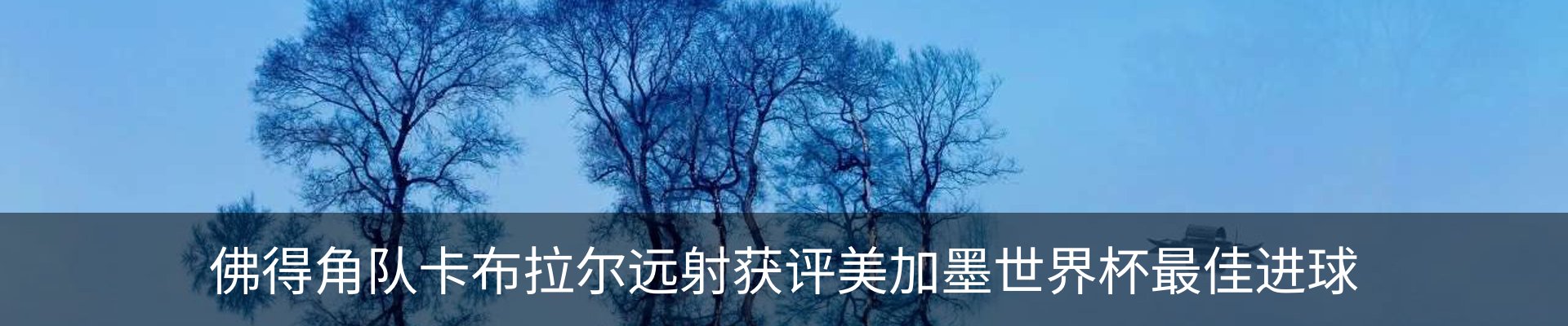 行业资讯