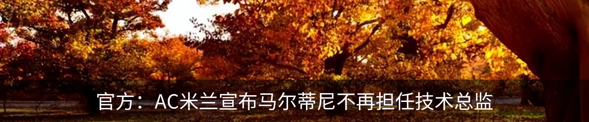 行业资讯