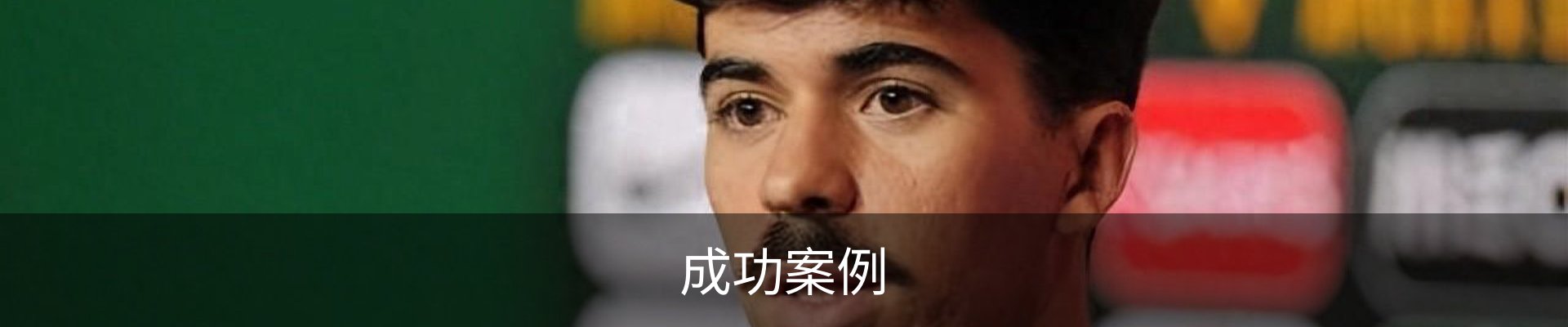 成功案例