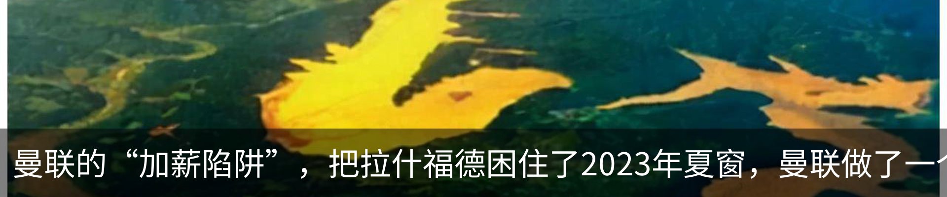 行业资讯