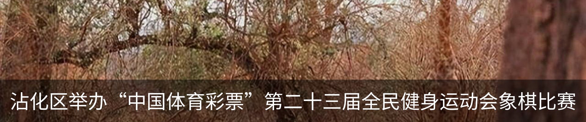 行业资讯
